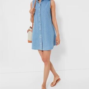 Tuckernuck Charlie Mini Dress